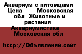 Аквариум с питомцами › Цена ­ 5 - Московская обл. Животные и растения » Аквариумистика   . Московская обл.